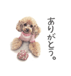 Momojiの犬画スタンプ（個別スタンプ：8）