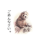 Momojiの犬画スタンプ（個別スタンプ：9）