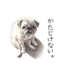 Momojiの犬画スタンプ（個別スタンプ：10）