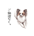 Momojiの犬画スタンプ（個別スタンプ：11）