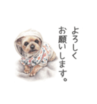 Momojiの犬画スタンプ（個別スタンプ：14）