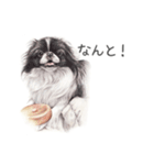 Momojiの犬画スタンプ（個別スタンプ：20）