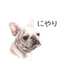 Momojiの犬画スタンプ（個別スタンプ：23）