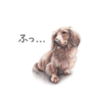 Momojiの犬画スタンプ（個別スタンプ：25）
