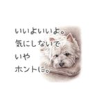 Momojiの犬画スタンプ（個別スタンプ：30）