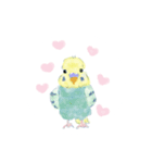 ラブ セキセイインコ（個別スタンプ：4）