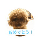 犬のルルのスタンプ（個別スタンプ：12）