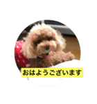 犬のルルのスタンプ（個別スタンプ：15）