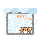 しば だけど★夏に向けて★（個別スタンプ：6）