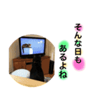 こじろーさんのお友達くぅちゃん（個別スタンプ：40）