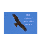 風景写真で伝えてみる。その4（個別スタンプ：7）