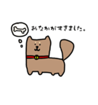 柴犬たろう。（個別スタンプ：7）