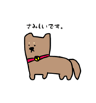 柴犬たろう。（個別スタンプ：13）