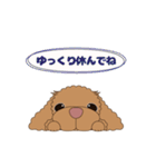 鼻ピンクなプードル犬♪3（個別スタンプ：32）