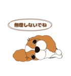 キャバリア犬♪ブレンハイム(白少なめ)3（個別スタンプ：30）