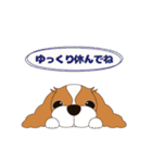 キャバリア犬♪ブレンハイム(白少なめ)3（個別スタンプ：32）