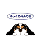 キャバリア犬♪トライカラー3（個別スタンプ：32）