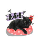 うちの猫チョーかわいい（個別スタンプ：8）