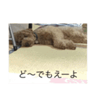 うちの犬の感じ（個別スタンプ：7）