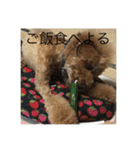 うちの犬の感じ（個別スタンプ：22）