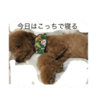 うちの犬の感じ（個別スタンプ：32）