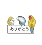 Love lovebirds（個別スタンプ：2）