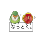 Love lovebirds（個別スタンプ：11）