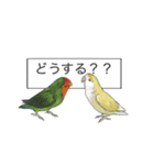 Love lovebirds（個別スタンプ：15）