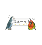 Love lovebirds（個別スタンプ：17）