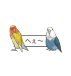 Love lovebirds（個別スタンプ：18）