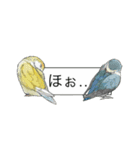 Love lovebirds（個別スタンプ：20）