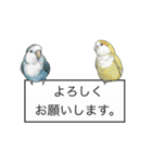 Love lovebirds（個別スタンプ：23）