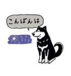 Every Day Dog 黒柴 日本語（個別スタンプ：3）