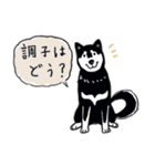 Every Day Dog 黒柴 日本語（個別スタンプ：5）