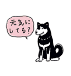 Every Day Dog 黒柴 日本語（個別スタンプ：7）