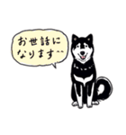Every Day Dog 黒柴 日本語（個別スタンプ：15）