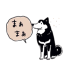 Every Day Dog 黒柴 日本語（個別スタンプ：19）