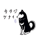 Every Day Dog 黒柴 日本語（個別スタンプ：23）