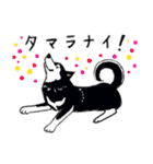 Every Day Dog 黒柴 日本語（個別スタンプ：27）