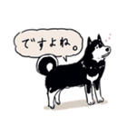 Every Day Dog 黒柴 日本語（個別スタンプ：34）