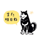 Every Day Dog 黒柴 日本語（個別スタンプ：37）