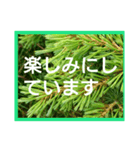 爽やかな葉と簡単な挨拶を合わせたスタンプ（個別スタンプ：5）