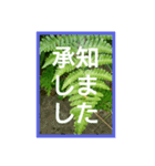 爽やかな葉と簡単な挨拶を合わせたスタンプ（個別スタンプ：6）