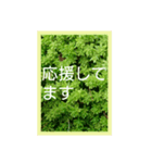 爽やかな葉と簡単な挨拶を合わせたスタンプ（個別スタンプ：7）