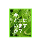 爽やかな葉と簡単な挨拶を合わせたスタンプ（個別スタンプ：12）