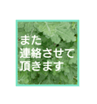 爽やかな葉と簡単な挨拶を合わせたスタンプ（個別スタンプ：16）