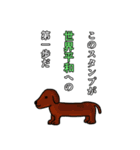 犬と世界平和を願うスタンプ（個別スタンプ：5）