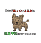 犬と世界平和を願うスタンプ（個別スタンプ：10）