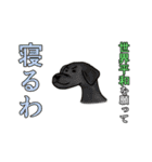 犬と世界平和を願うスタンプ（個別スタンプ：13）