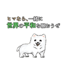 犬と世界平和を願うスタンプ（個別スタンプ：20）